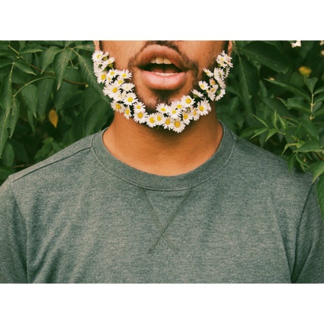 cvece u bradi 8 Novi Instagram trend: Cveće u bradi 