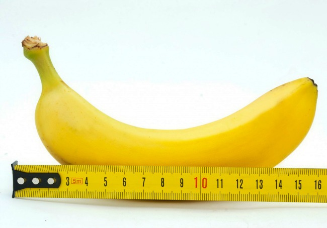 measuring banana wannabeman Sve što si hteo da znaš o svom ponosu