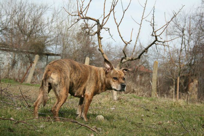 foto 1 Fotografije koje možeš da napraviš samo jednom