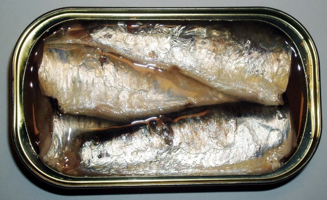 sardina1 Sardine su dobre za srce, kožu i još mnogo toga