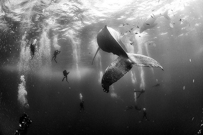 3 slika Najneverovatnije fotografije koje su obeležile 2015. godinu (GALERIJA)