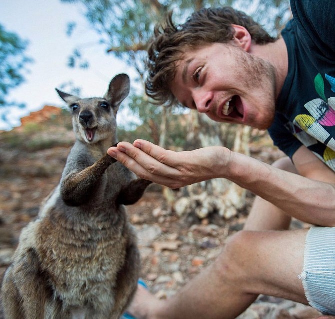 funny animal selfies allan dixon 21 960x912 Zima im je neprijatelj: Sačuvajte svoje krznene prijatelje