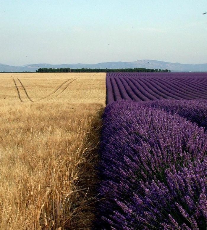 5 Nećeš verovati da ove fotografije nisu fotošopirane!