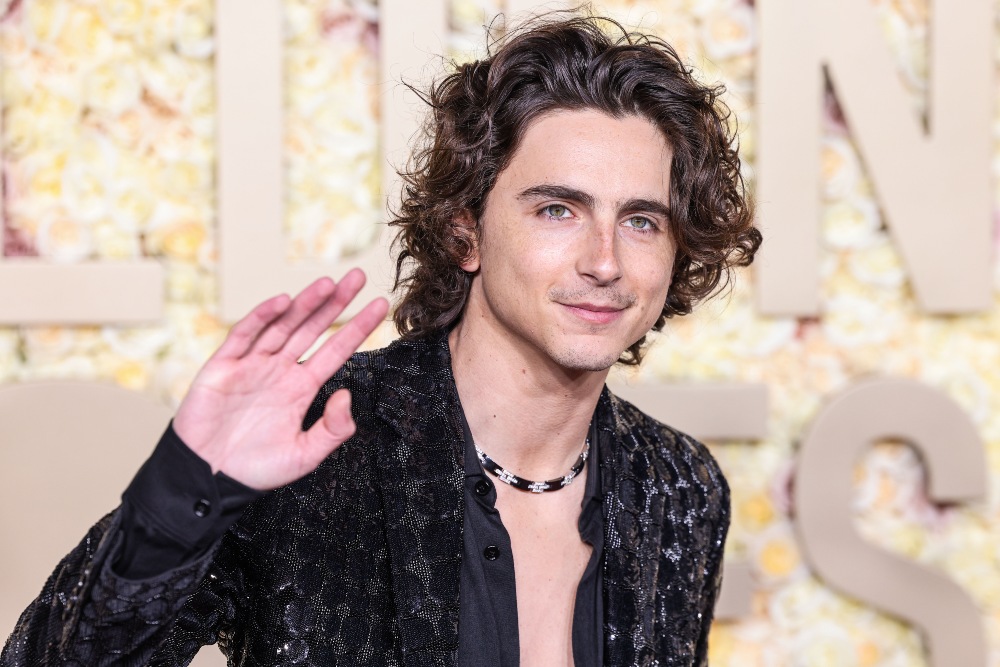 Timoti Timothée Chalamet protiv opere i baleta: Jedna izjava pokrenula globalnu kulturnu raspravu