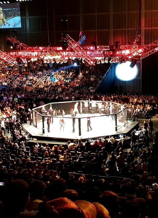 UFC u Beogradu: 1. avgust donosi prvi istorijski UFC Fight Night u Areni