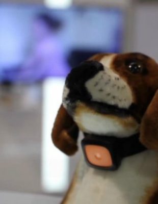 VIDEO: Digitalna ogrlica za pse