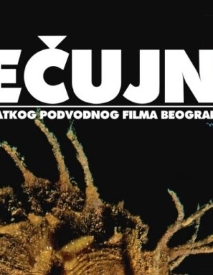 Bogatstvo dubina na Festivalu podvodnog filma