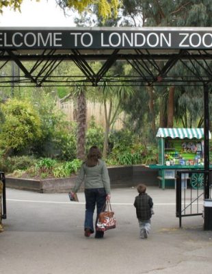 Da li bi proveo noć u zoo – vrtu?