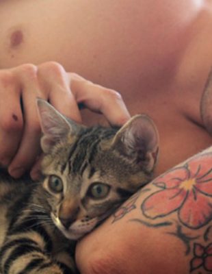 Kako da popravite njeno erotsko raspoloženje – učite od mačaka