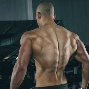 Vežbe za snažna i razvijena leđa