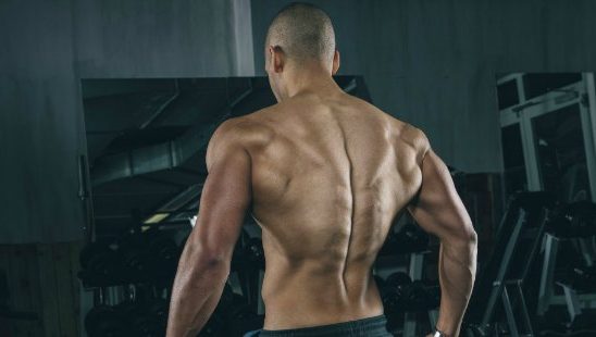Vežbe za snažna i razvijena leđa