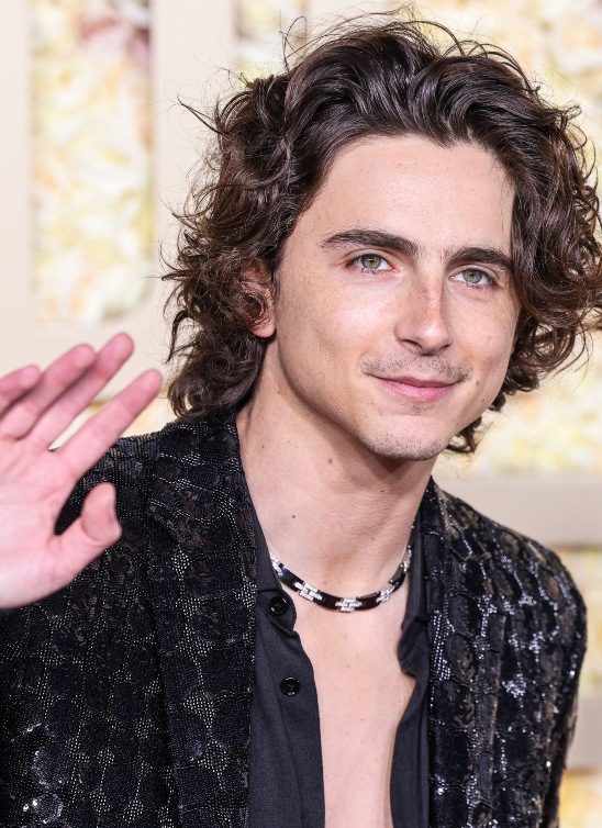 Timothée Chalamet protiv opere i baleta: Jedna izjava pokrenula globalnu kulturnu raspravu